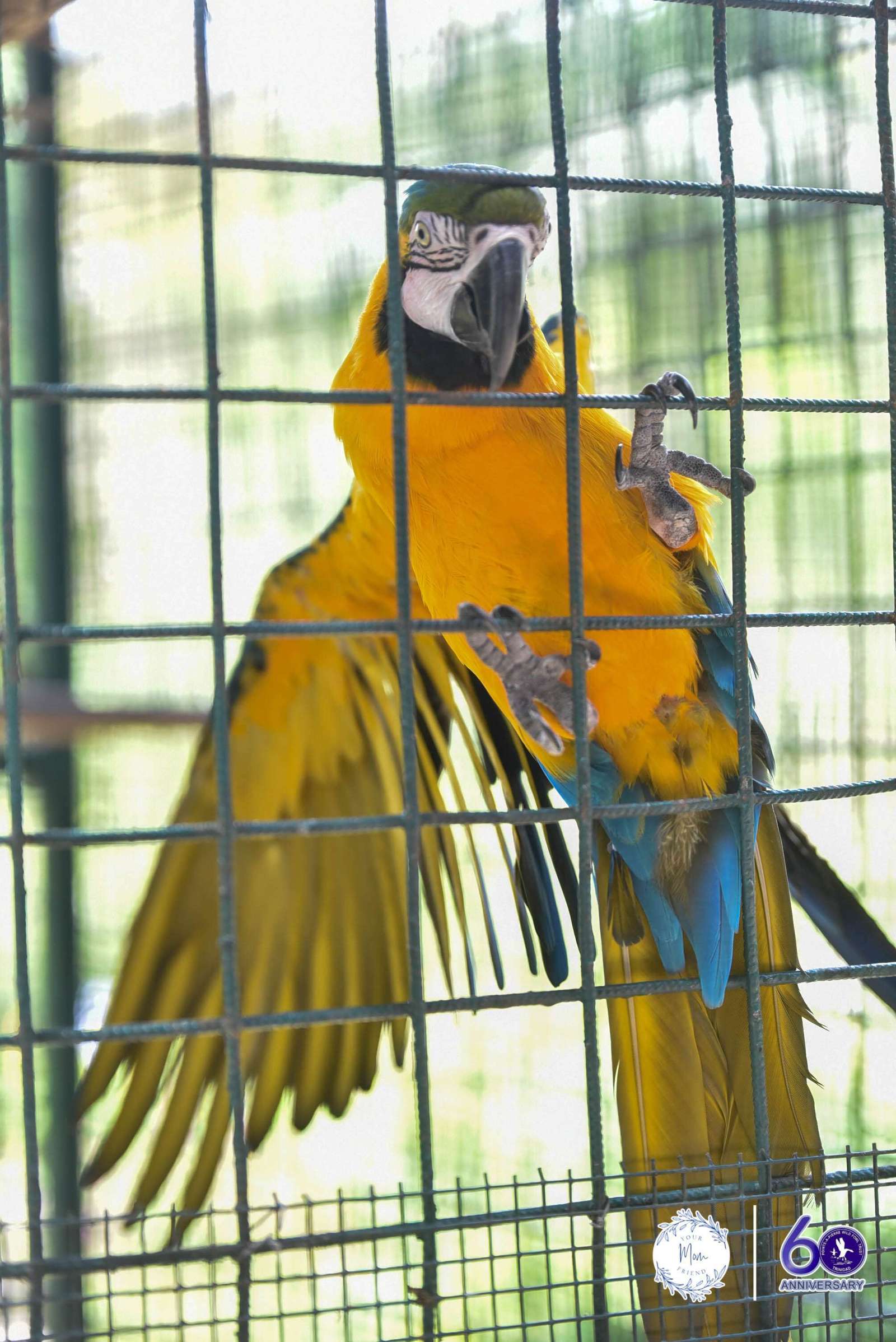 May 2, 2026 — Mommy & Me Nature Walk at the Pointe-a-Pierre Wildfowl Trust