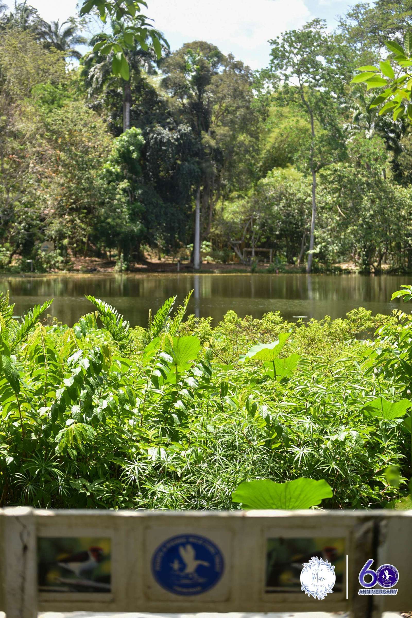 May 2, 2026 — Mommy & Me Nature Walk at the Pointe-a-Pierre Wildfowl Trust
