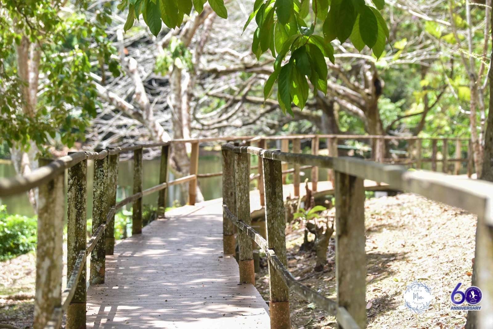 May 2, 2026 — Mommy & Me Nature Walk at the Pointe-a-Pierre Wildfowl Trust