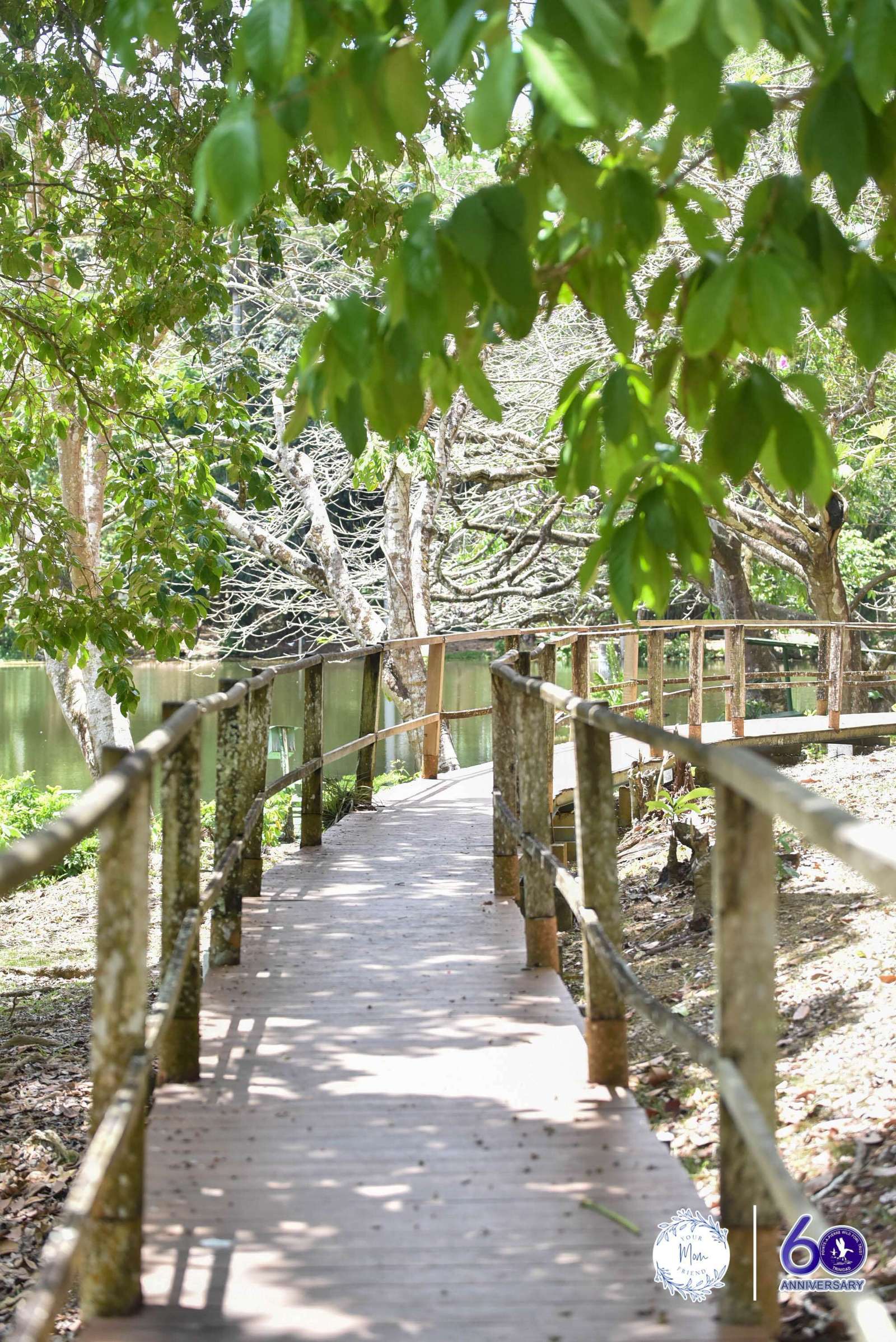 May 2, 2026 — Mommy & Me Nature Walk at the Pointe-a-Pierre Wildfowl Trust