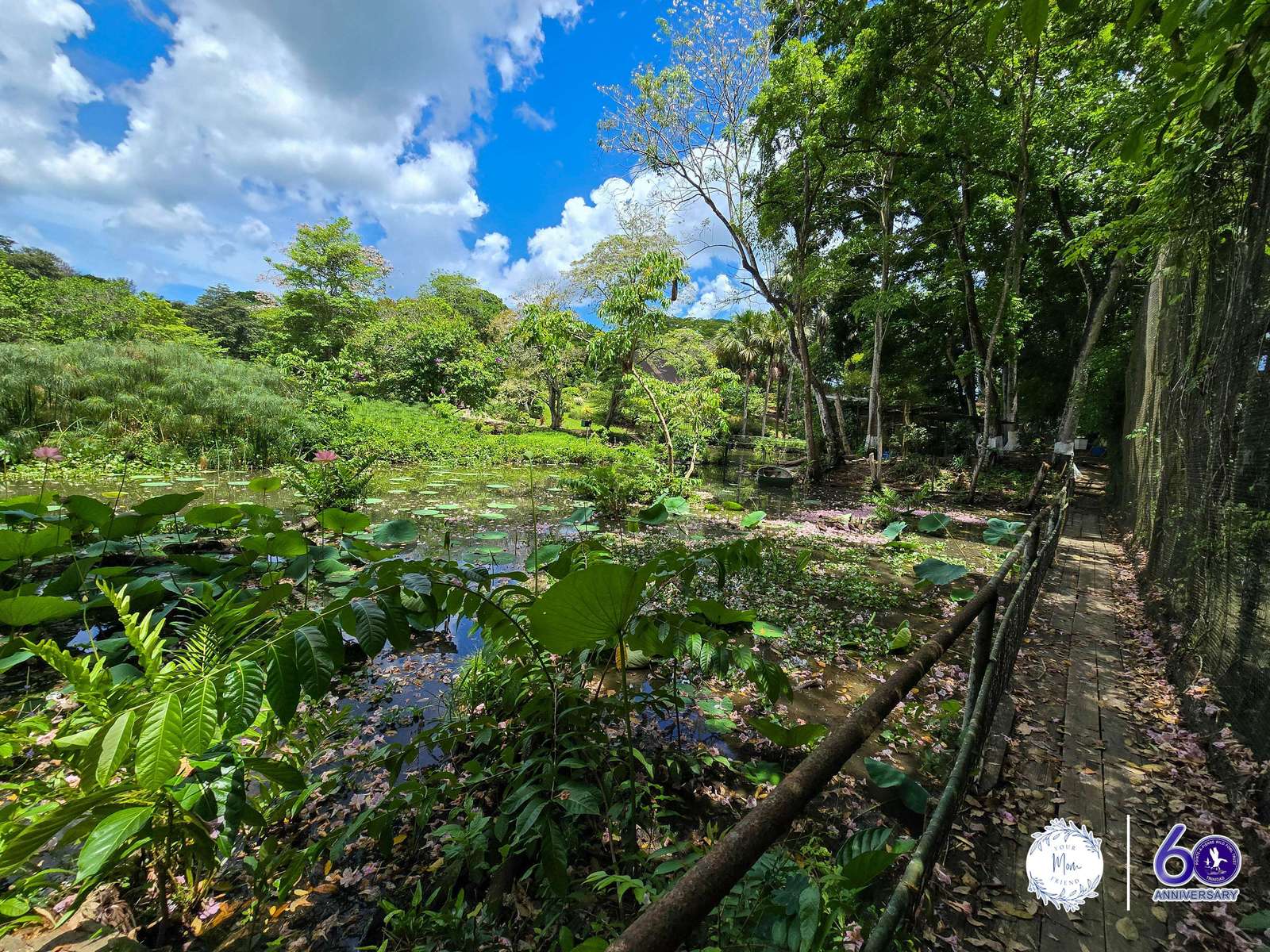 May 2, 2026 — Mommy & Me Nature Walk at the Pointe-a-Pierre Wildfowl Trust