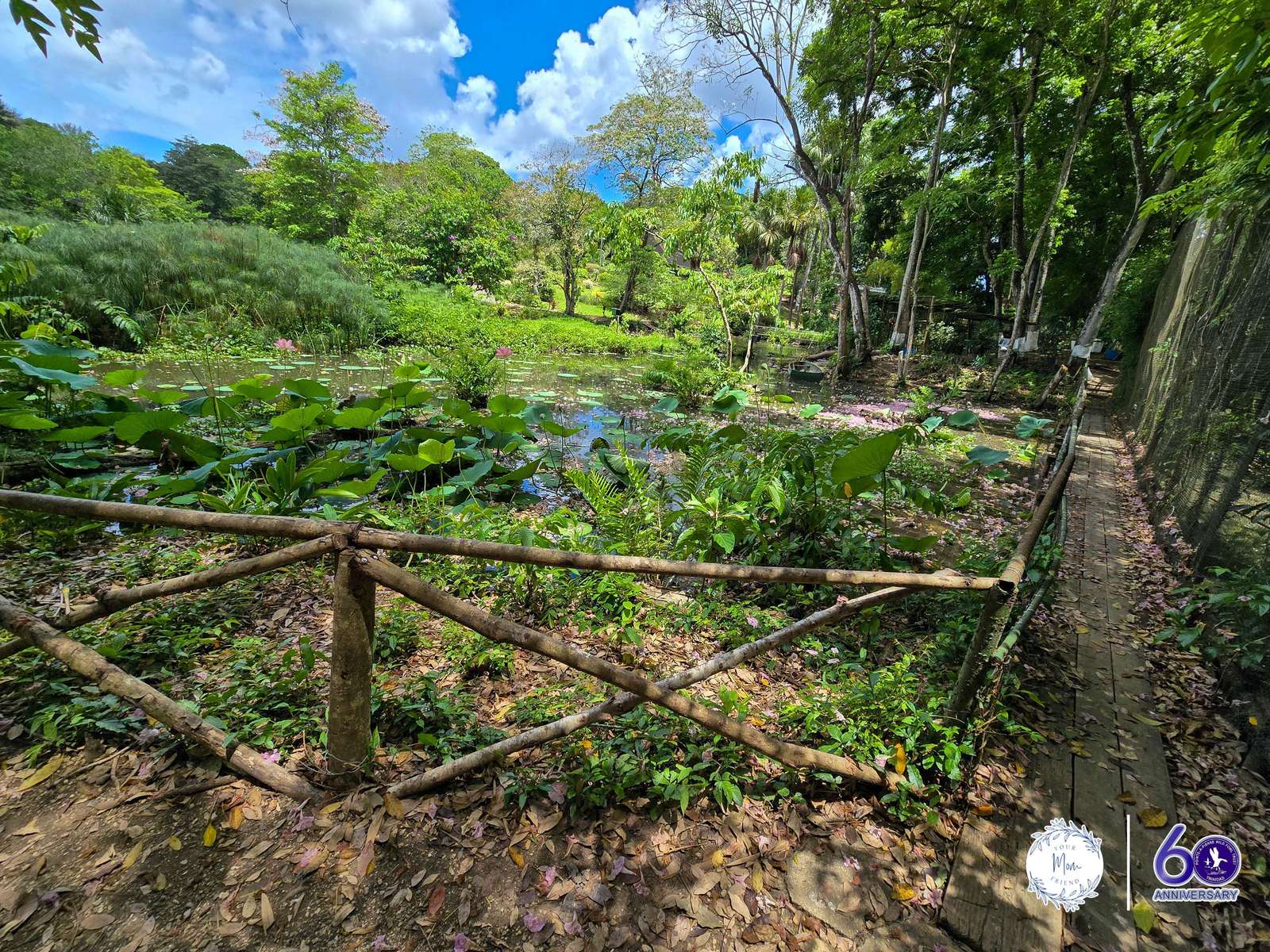 May 2, 2026 — Mommy & Me Nature Walk at the Pointe-a-Pierre Wildfowl Trust