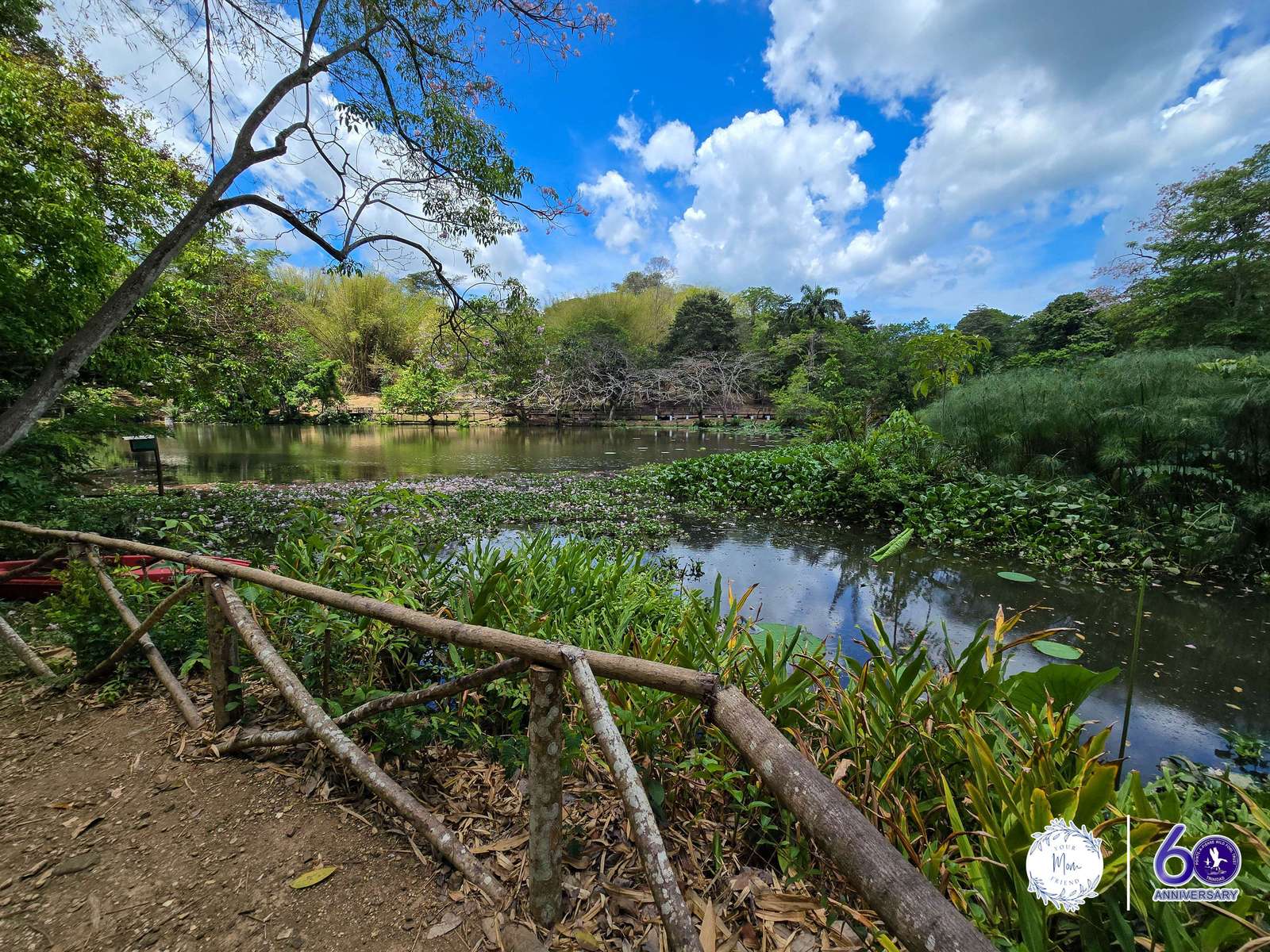 May 2, 2026 — Mommy & Me Nature Walk at the Pointe-a-Pierre Wildfowl Trust