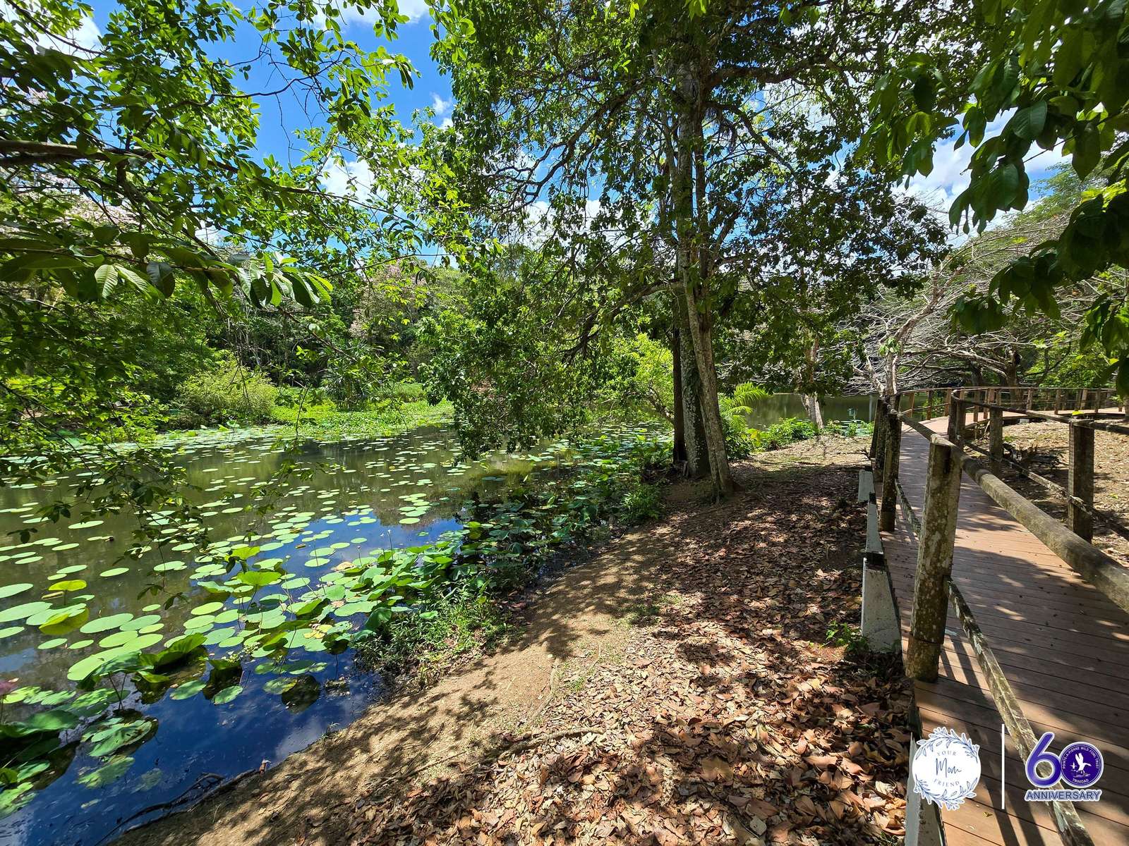 May 2, 2026 — Mommy & Me Nature Walk at the Pointe-a-Pierre Wildfowl Trust