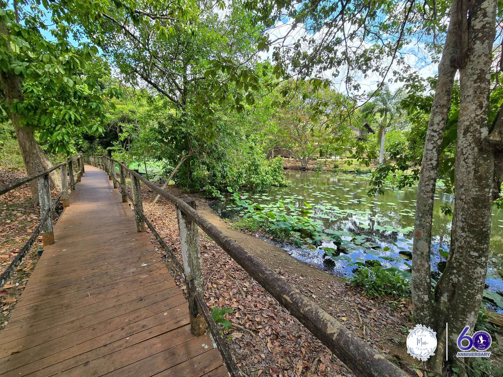 May 2, 2026 — Mommy & Me Nature Walk at the Pointe-a-Pierre Wildfowl Trust