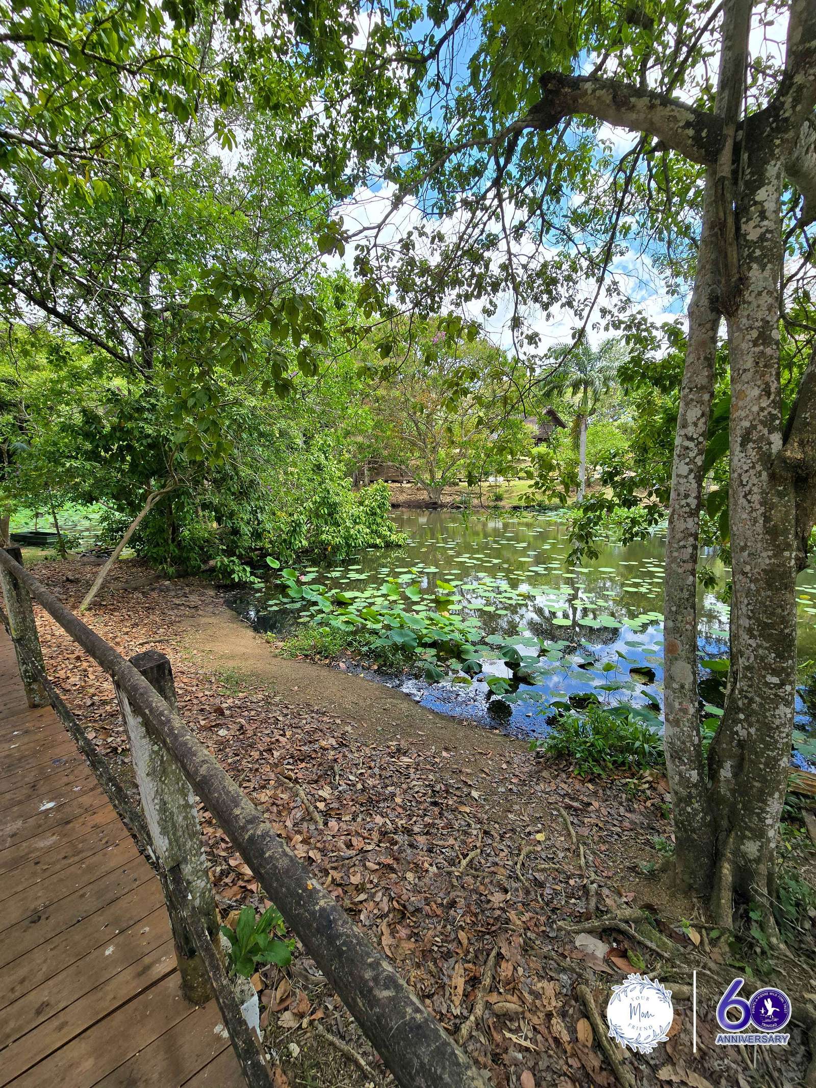 May 2, 2026 — Mommy & Me Nature Walk at the Pointe-a-Pierre Wildfowl Trust