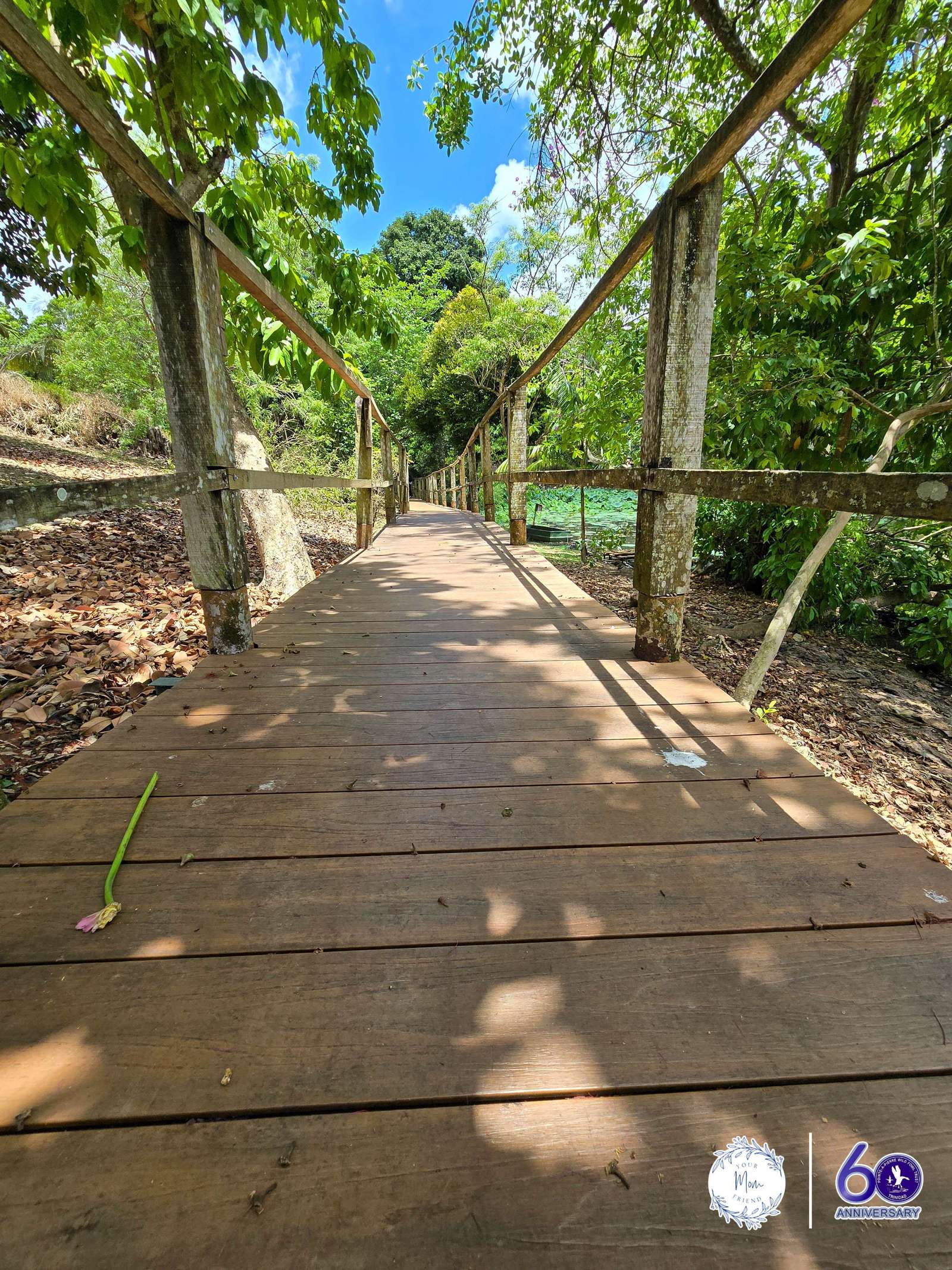 May 2, 2026 — Mommy & Me Nature Walk at the Pointe-a-Pierre Wildfowl Trust