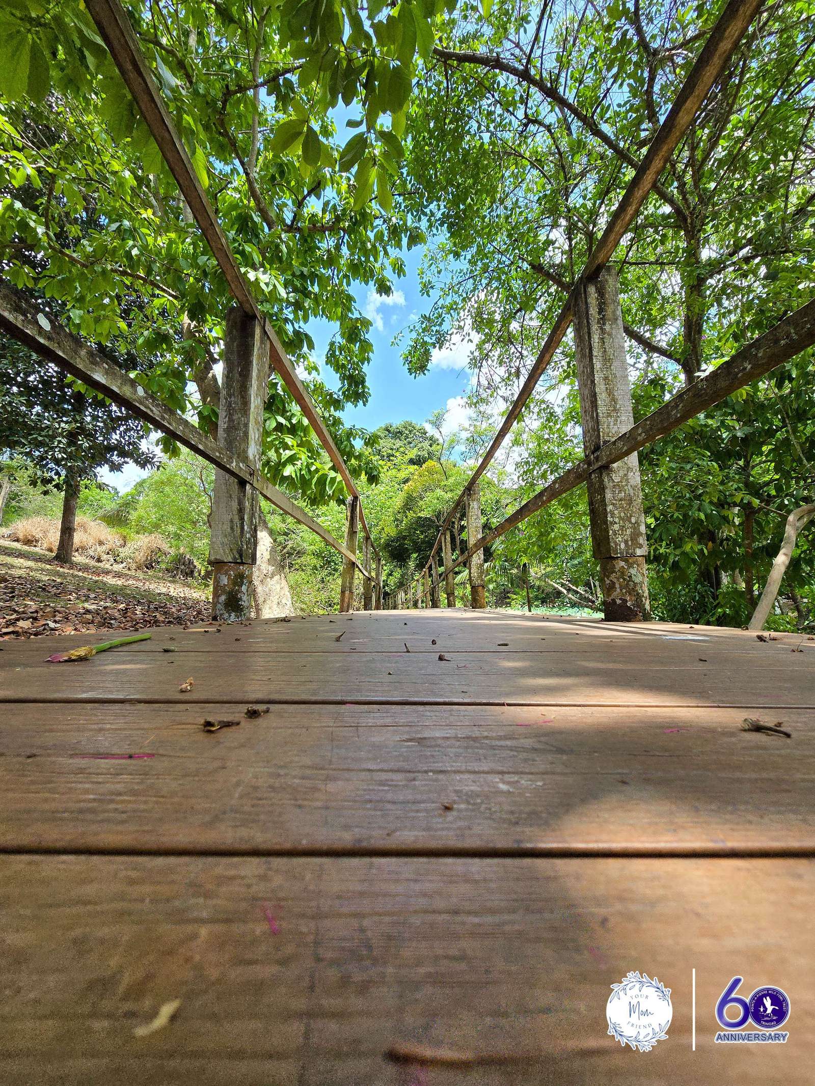 May 2, 2026 — Mommy & Me Nature Walk at the Pointe-a-Pierre Wildfowl Trust