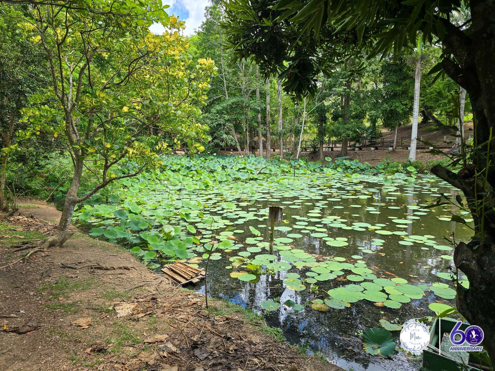 May 2, 2026 — Mommy & Me Nature Walk at the Pointe-a-Pierre Wildfowl Trust