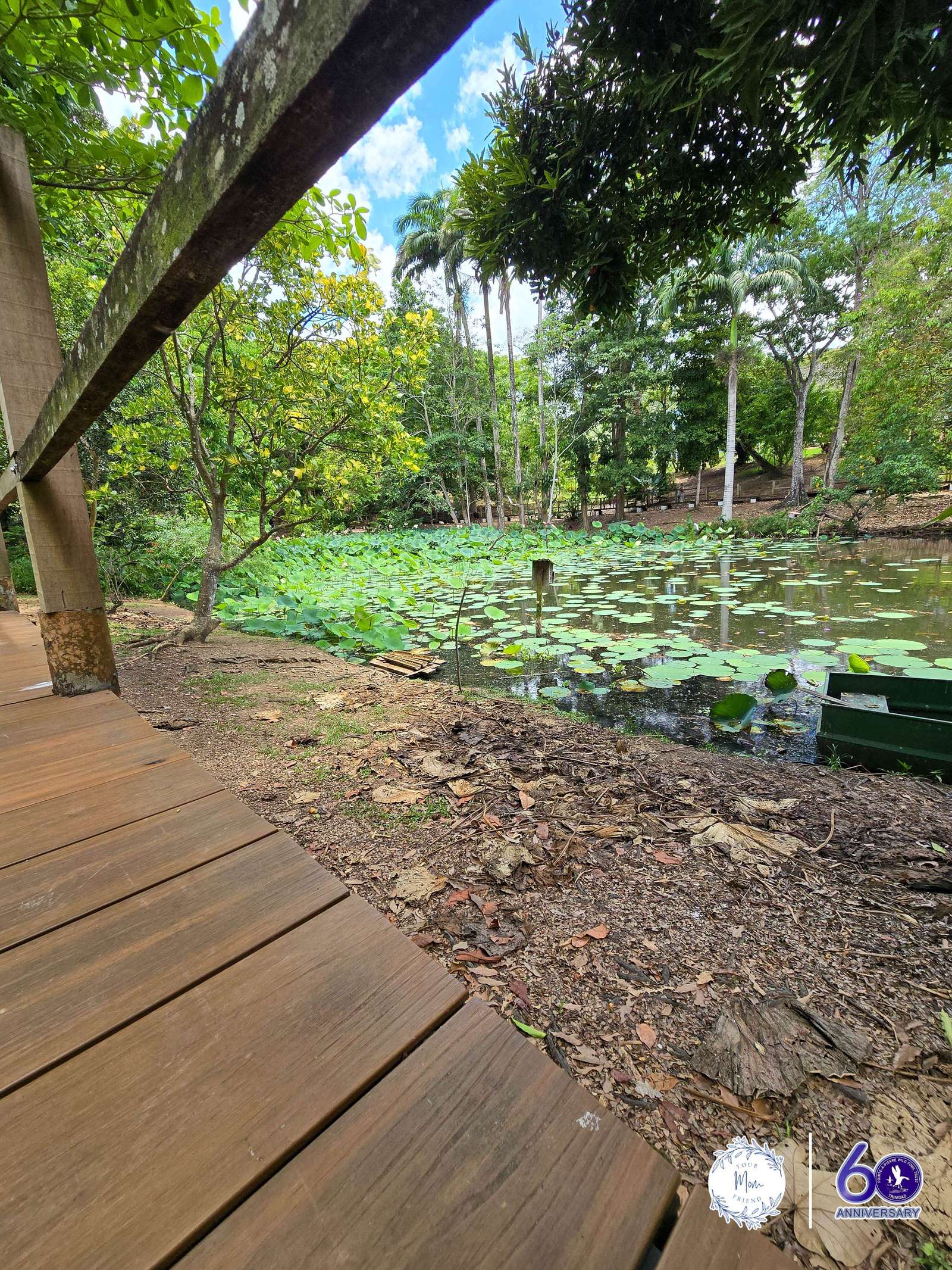 May 2, 2026 — Mommy & Me Nature Walk at the Pointe-a-Pierre Wildfowl Trust