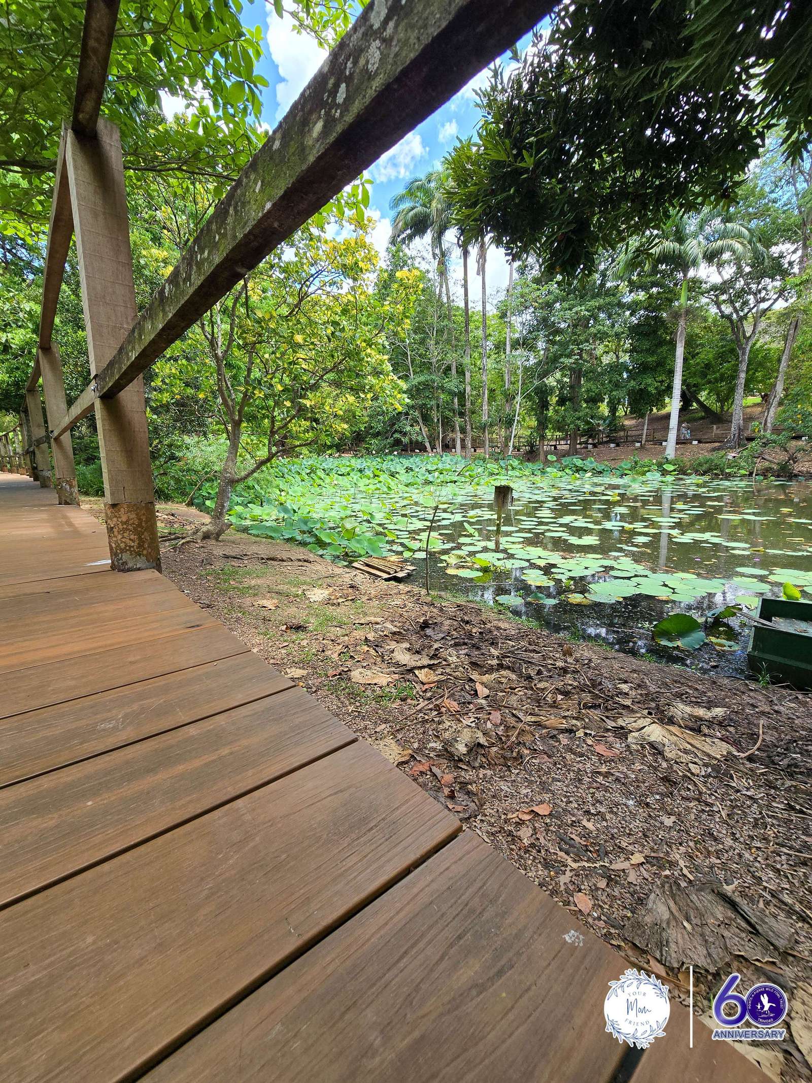 May 2, 2026 — Mommy & Me Nature Walk at the Pointe-a-Pierre Wildfowl Trust