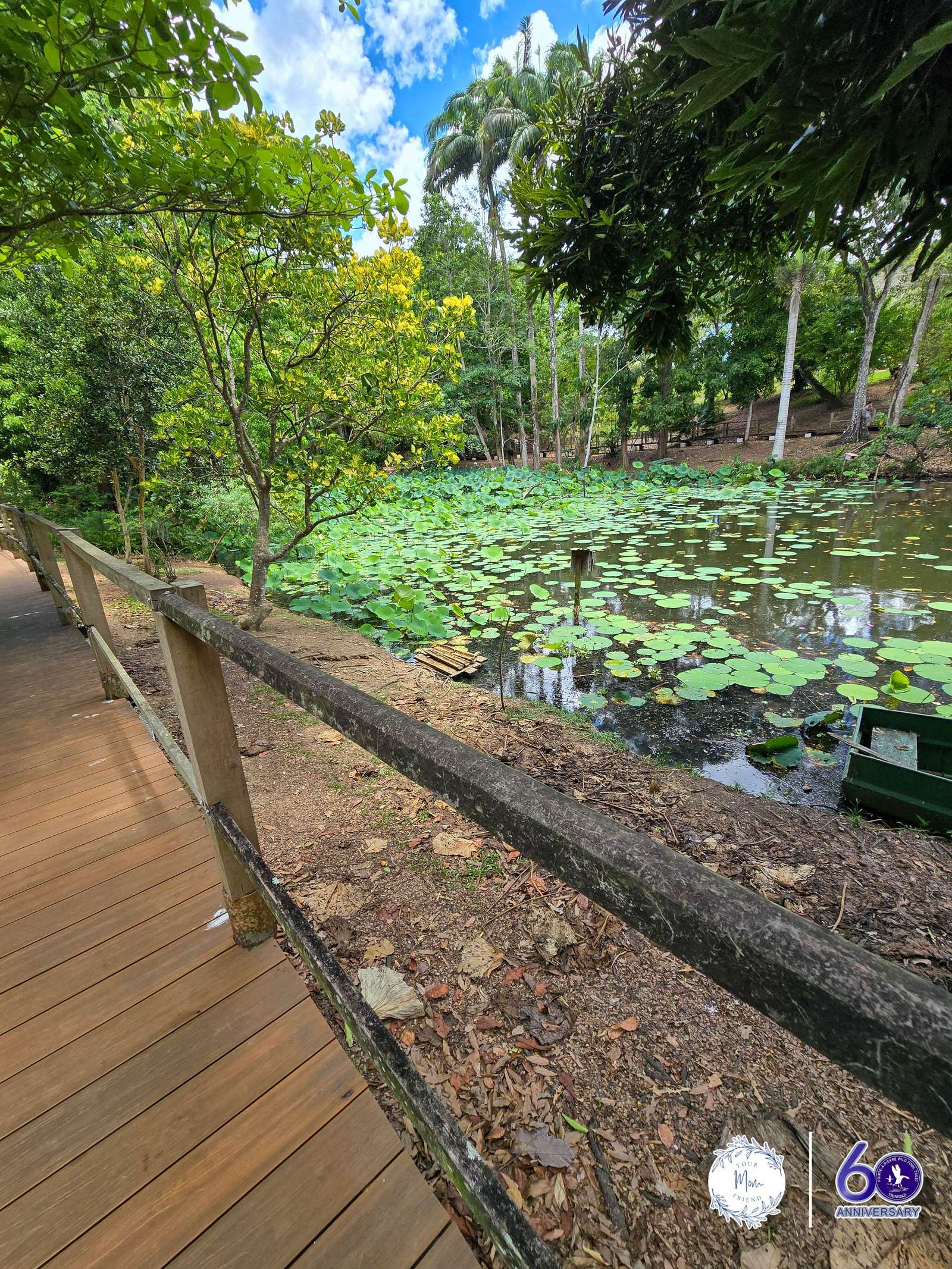 May 2, 2026 — Mommy & Me Nature Walk at the Pointe-a-Pierre Wildfowl Trust