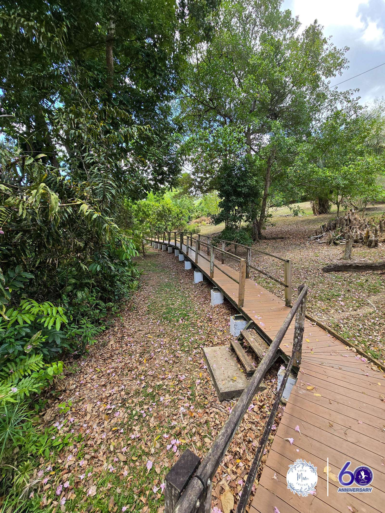 May 2, 2026 — Mommy & Me Nature Walk at the Pointe-a-Pierre Wildfowl Trust