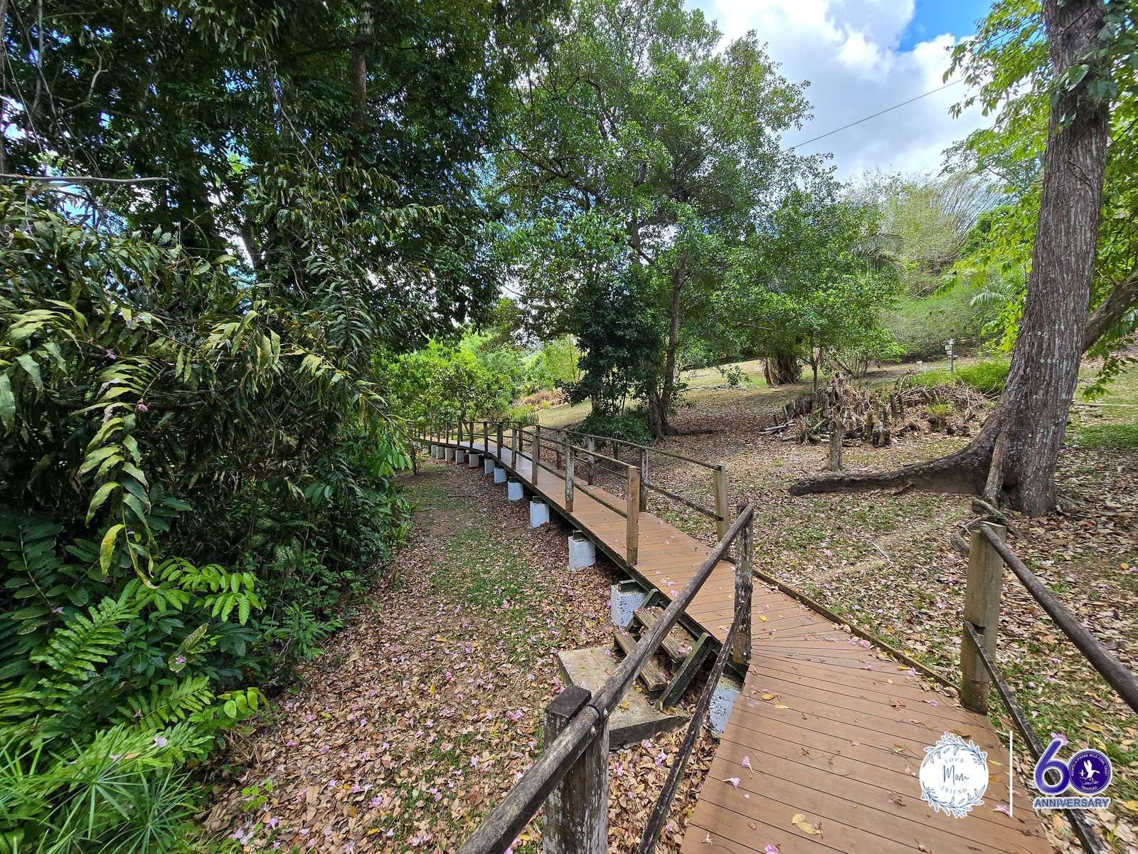 May 2, 2026 — Mommy & Me Nature Walk at the Pointe-a-Pierre Wildfowl Trust