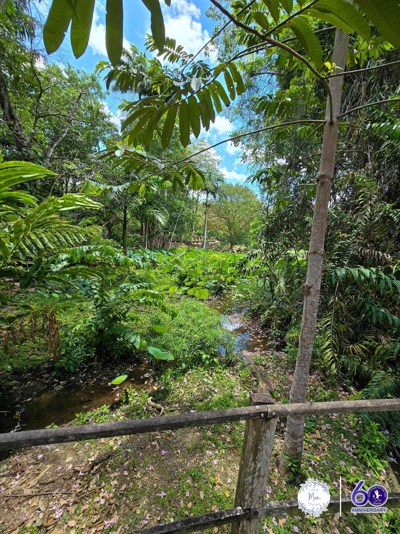May 2, 2026 — Mommy & Me Nature Walk at the Pointe-a-Pierre Wildfowl Trust